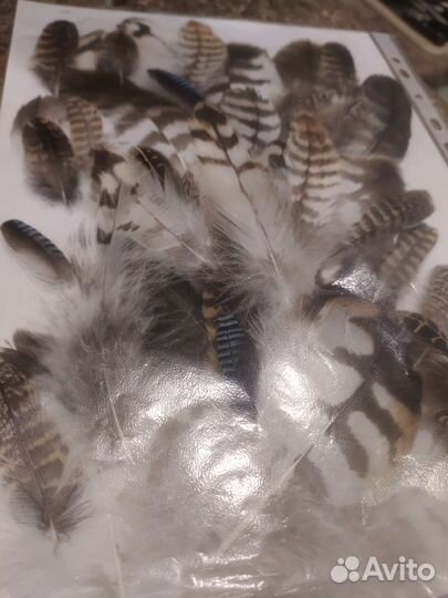 Перья птиц, наборы, творчество, ловцы снов