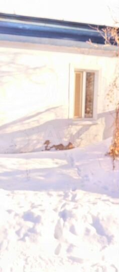 3-к. квартира, 64 м², 1/1 эт.