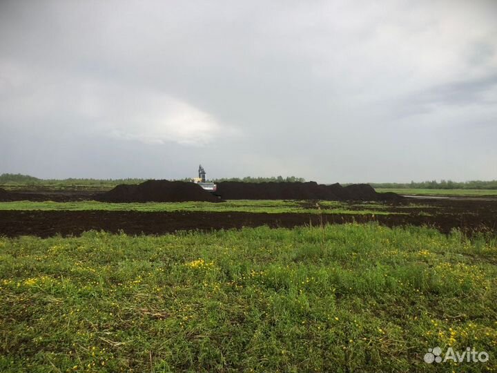 Торф верховой