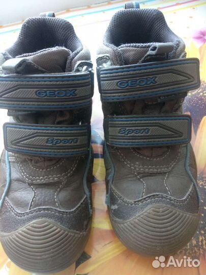 Ботинки деми geox