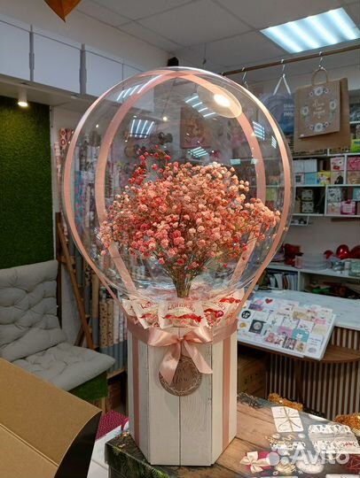 Живые гипсофилы в шаре