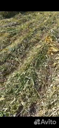 Косилка роторная навесная Заря к мотоблоку