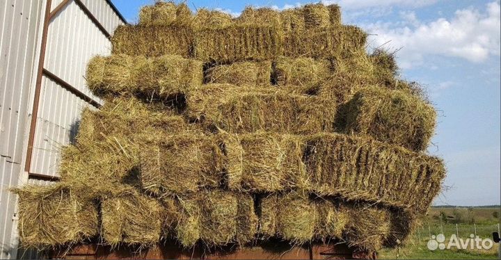 Сено и солома