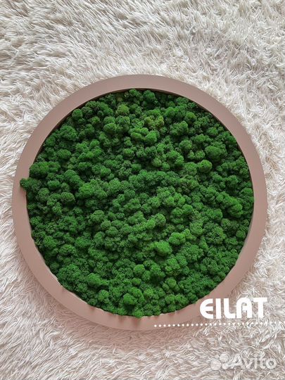 Мох, Любые Панно из Мха: Карта Мира, Круг, Древо