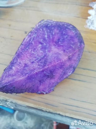 Картофель фиолетовый (синий) семенной