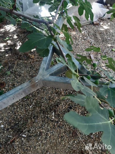 Прицеп для лодки бу