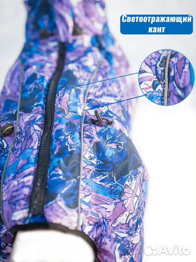 Комбинезон для собаки бульдога и мопса