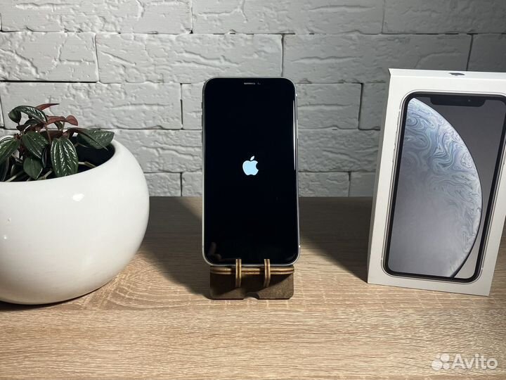 iPhone Xr, 64 ГБ