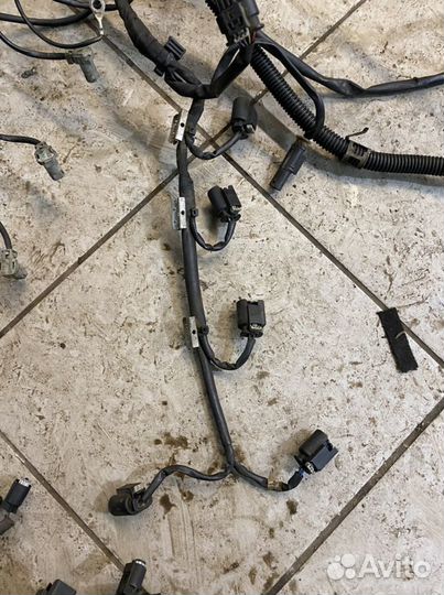 Проводка,коса двигателя A6291501933 Mercedes om629
