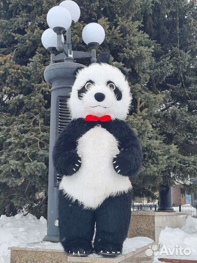 Белый мишка поздравление от ростовых кукол