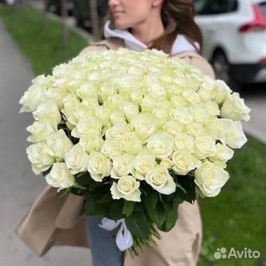 Розы Букет роз 25 51 101 Цветы с доставкой