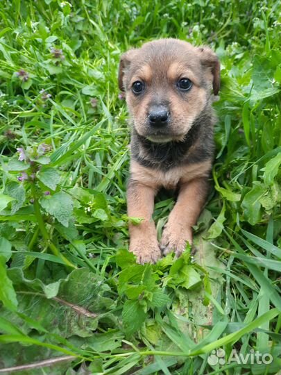 Прелестная активная Манюня