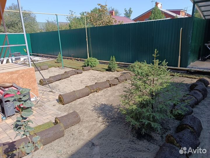 Рулонный газон, посевной газон, автополив