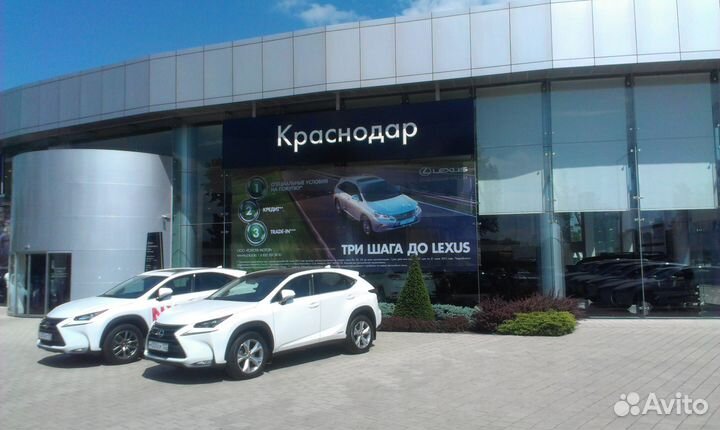 Профессиональная поклейка пленки