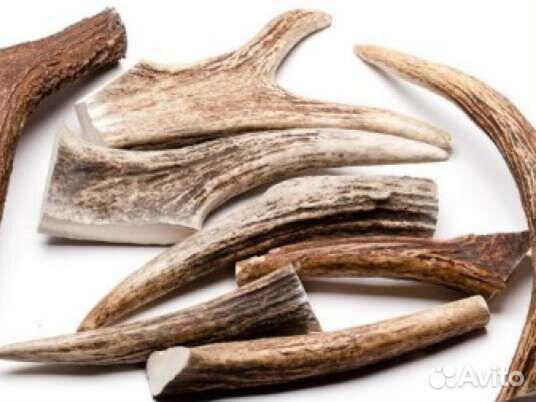 Рога оленя, лося - погрызушка, лакомство для собак