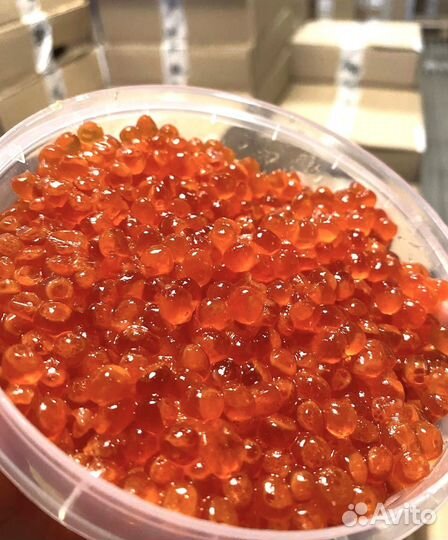 Красная икра горбуши