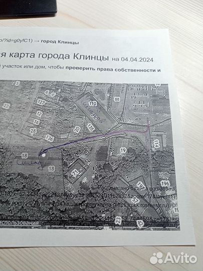 Пшеница, овёс