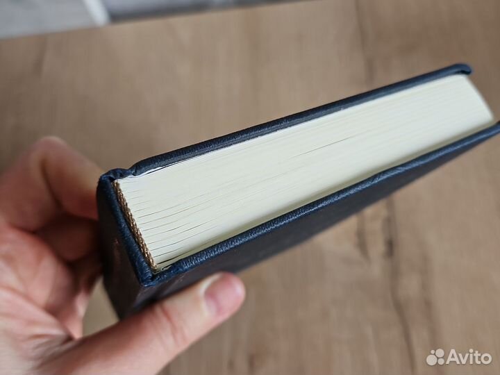 Евгений Онегин, А. С. Пушкин карманный формат