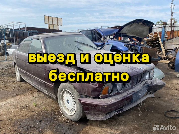 Выкуп битых авто