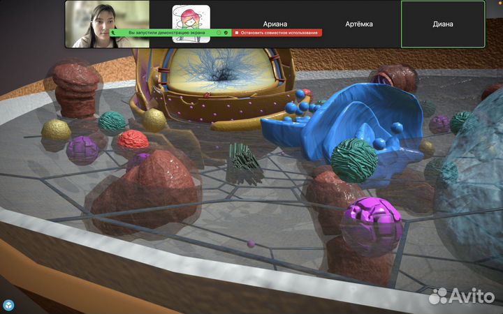 Репетитор по биологии ОГЭ