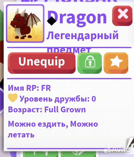 Dragon FR adopt me full grown