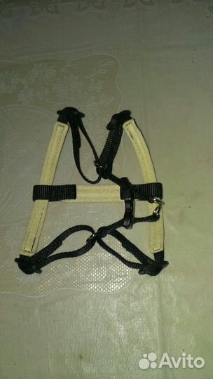 Шлейка для собаки