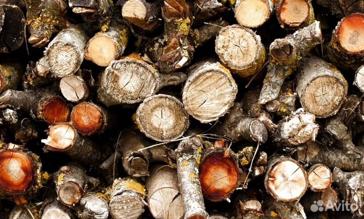 Дрова из ло