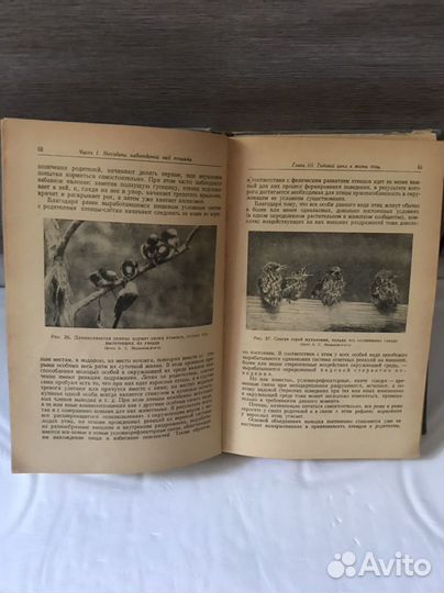 Книга Птицы в природе А.Н. Промптов 1957 год