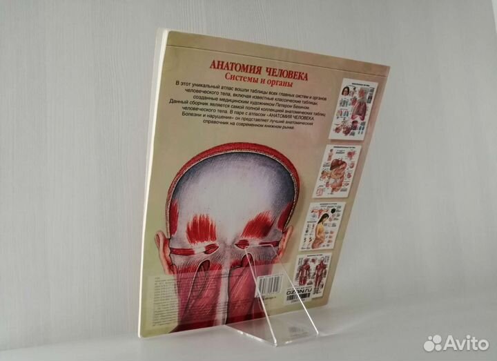 Анатомия человека. Системы и органы