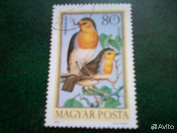 Птицы (Венгрия, 1973)