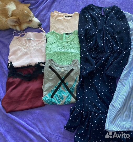 Летние вещи пакетом 42-44