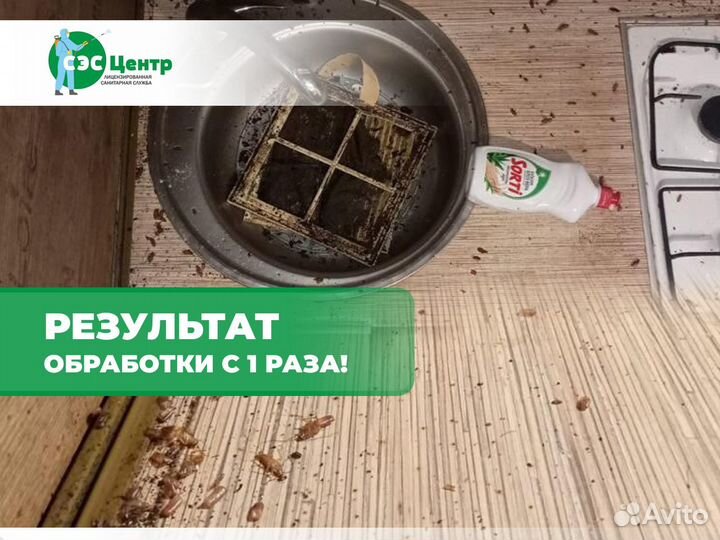 Уничтожение клопов, травить тараканов. Дезинфекция