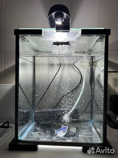 Аквариум с рыбкой