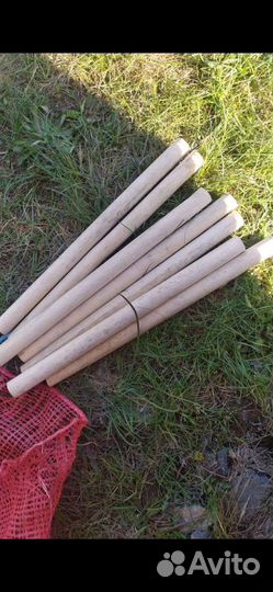 Шкант березовый,Нагель сухой