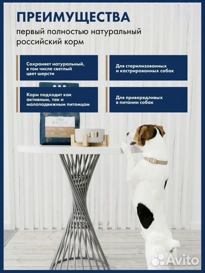 Собачий корм Blue native (отправлю авито почтой)