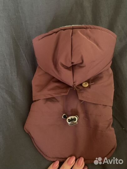 Одежда для собак мелких пород