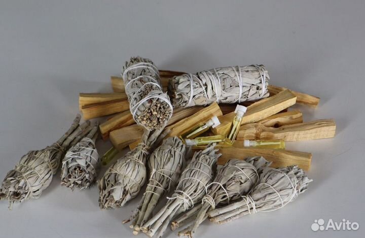 Шалфей Калифорнийский от 20шт опт для Вайлберис