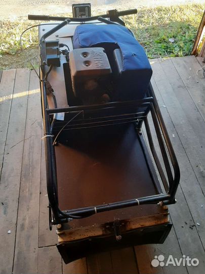 Мото собака