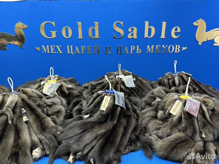 Аукционный мех соболя. Шкуры соболя. N57N168