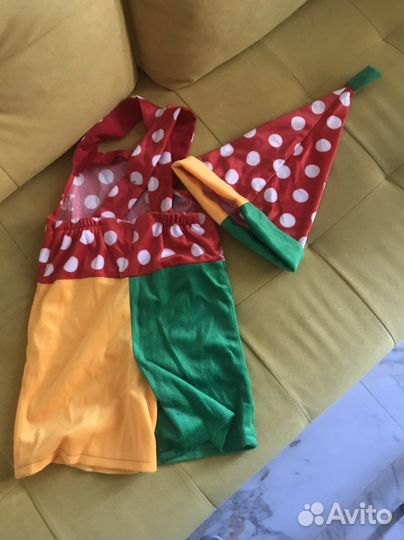 Костюм петрушки