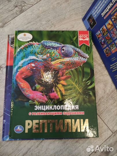 Энциклопедия для детей