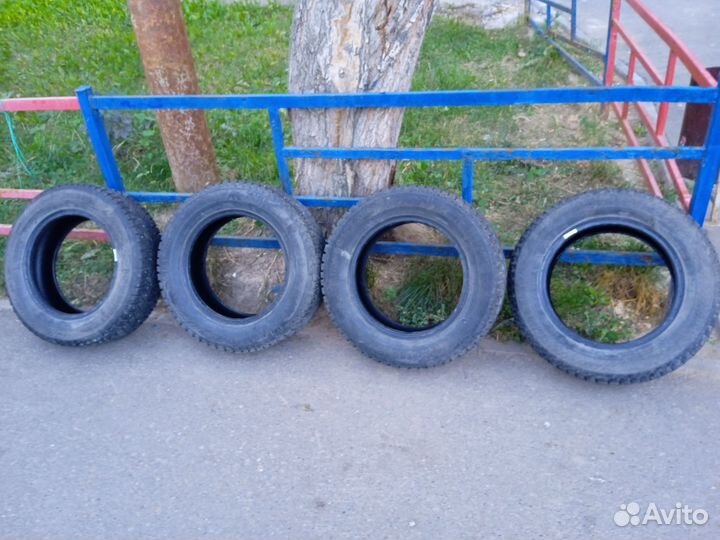 Gislaved Nord Frost 200 175/70 R14