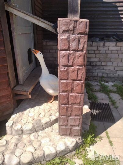 Тротуарная плитки