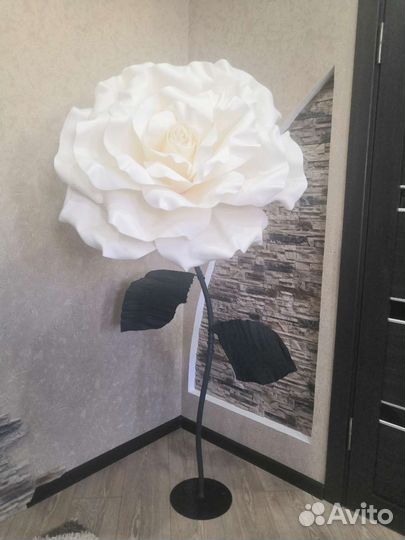 Роза напольная