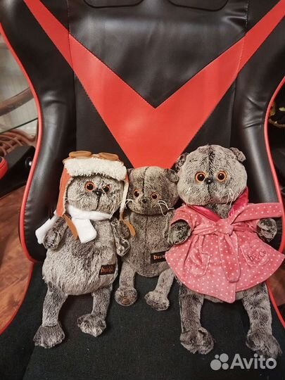Котики баСики пакетом