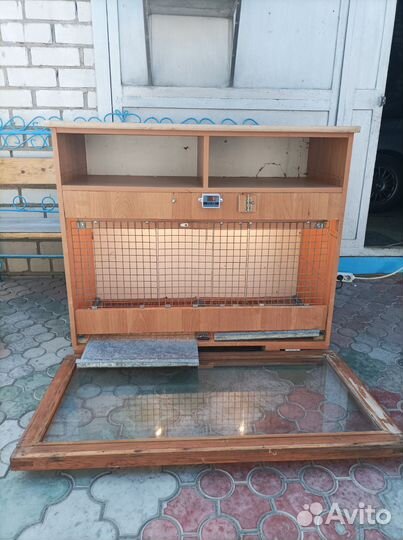 Брудер для цыплят