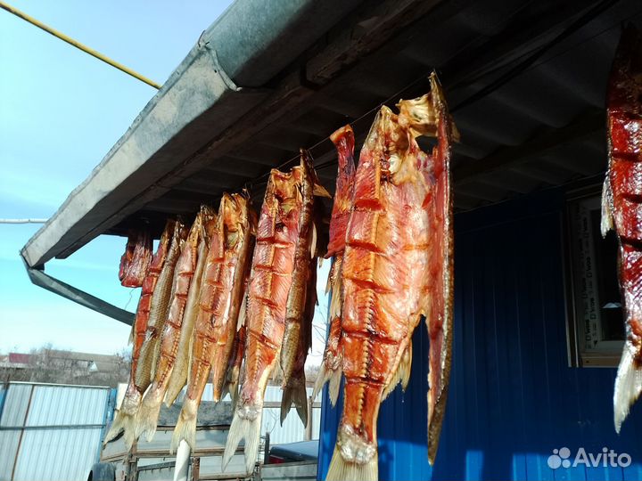 Рыба вяленая балык