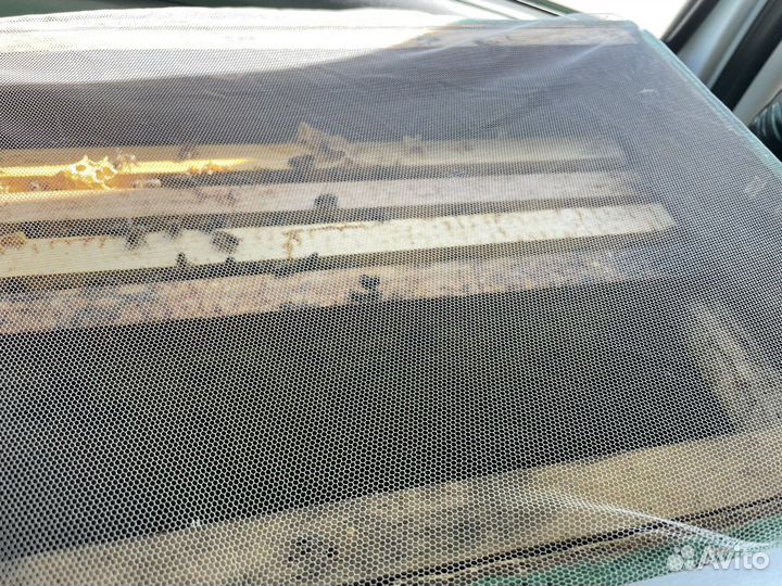 Пчелопакеты карпатка