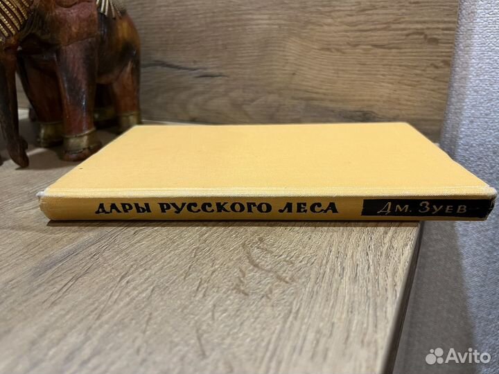 Дары русского леса