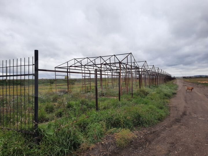 Участок 1,5 га (ИЖС)